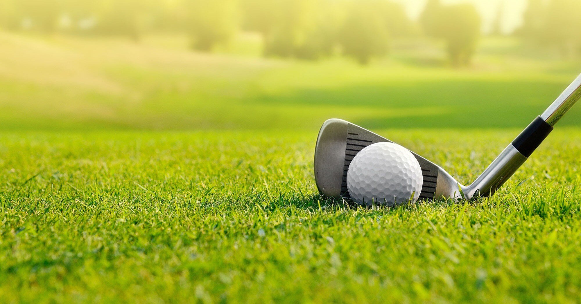 Tolleson Dairy Milk Bottle Open Charity Golf Tournament